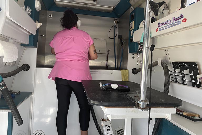 mobile grooming van, do groomers remove ticks