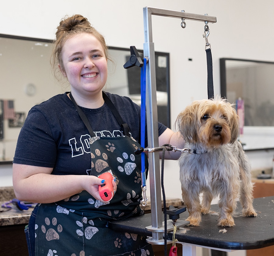 Indiana Dog Grooming Apprenticeship, Pet grooming training program
