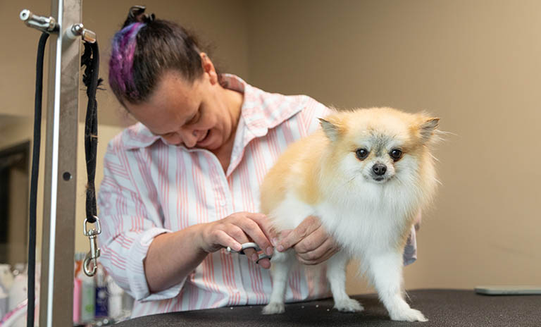 pomeranian nail trimming, smoochie poochie, dog groomer near me