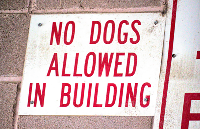 dogs not allowed in building, pet groomers, dog washers near me