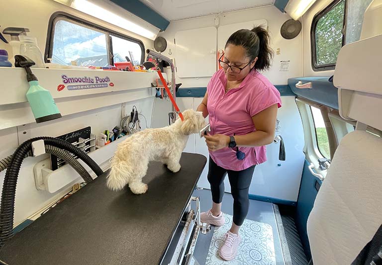 Pet grooming mobile, pet skin care