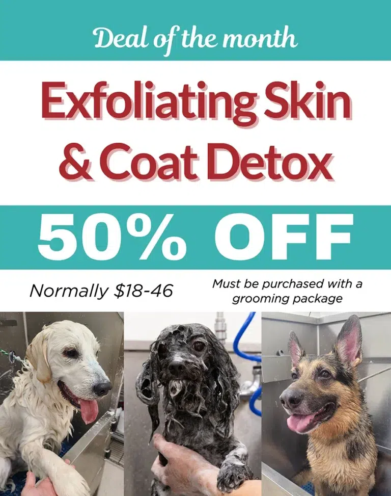 Mineral Red Treatment for dogs - exfoliating peel, shampoo and conditioning treatment for dry, flaky skin