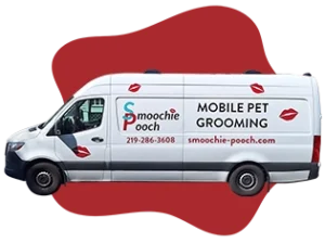 mobile dog grooming & mobile cat grooming in Indiana