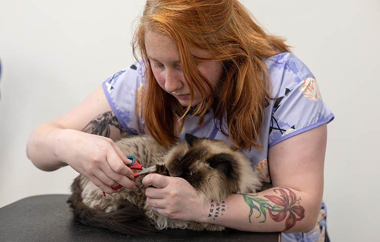 cat nail trims, pet groomer near me for cats, smoochy pooch