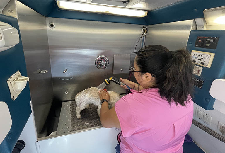 mobile dog grooming, cat groomer gainesville