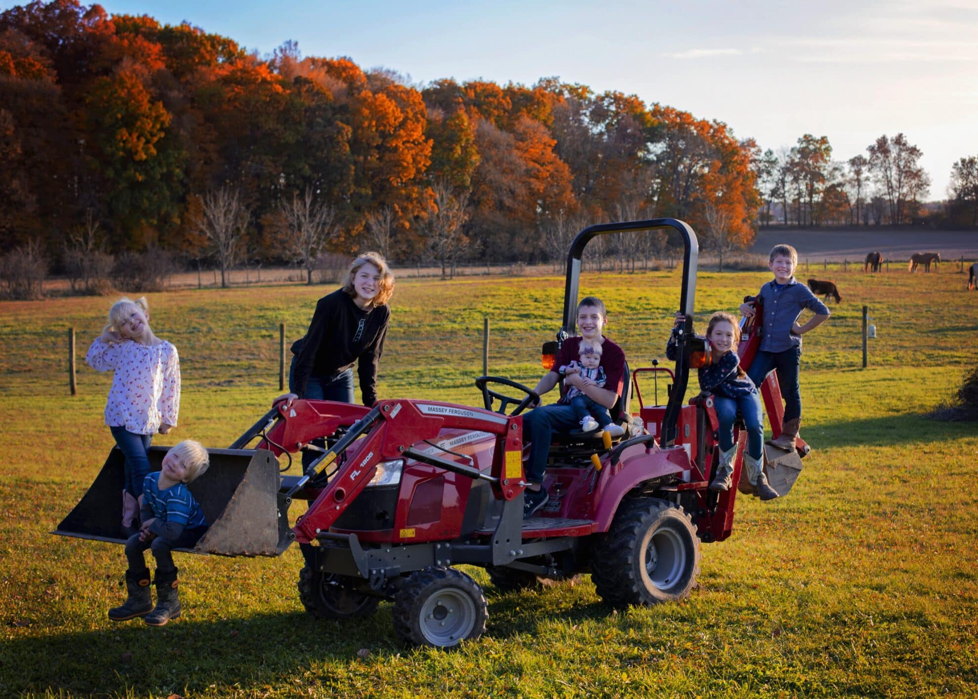 Pet Grooming Near Me Dog Grooming Near Me