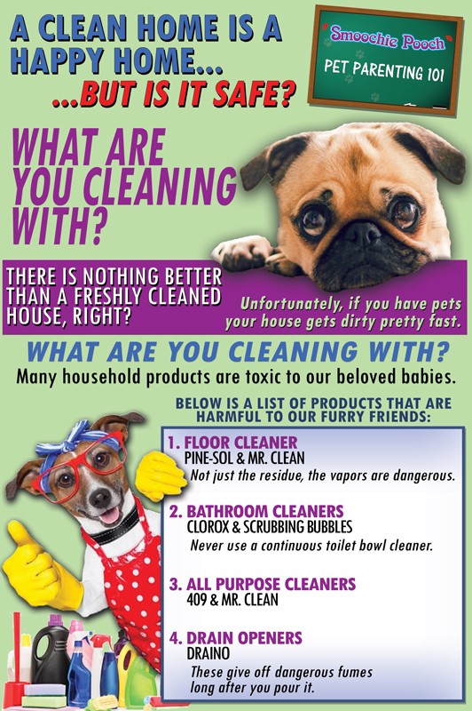 unsafe cleaning products for pets