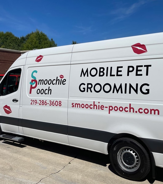mobile dog grooming and cat grooming van in chesterton indiana
