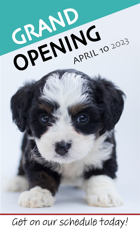 Smoochie Pooch Lowell Dog Groomer Grand Opening April 10
