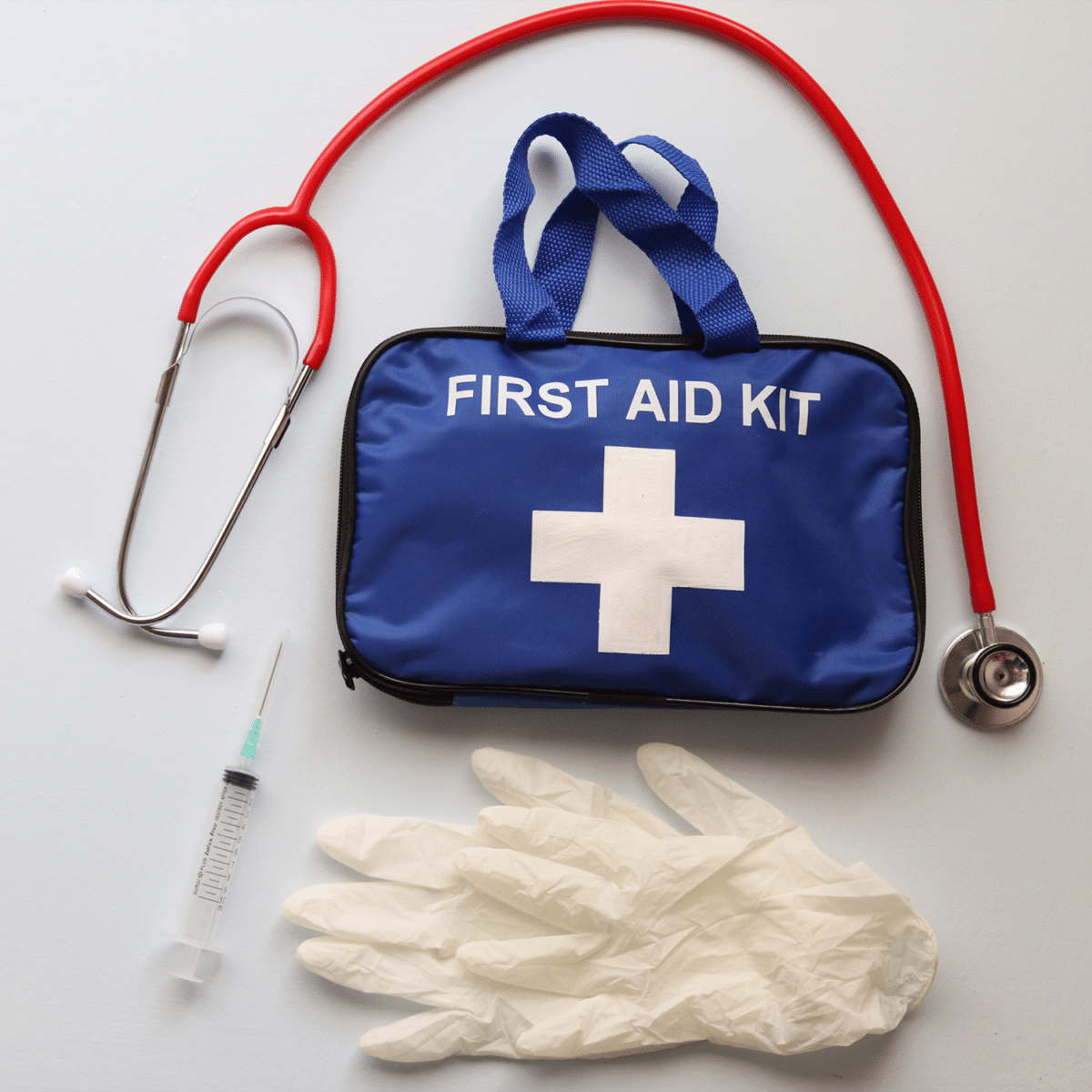 What to put in a pet first aid kit for dogs or cats