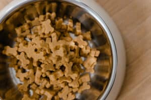 dry dog food - what ingredients to look for in cat food and dog food packaging