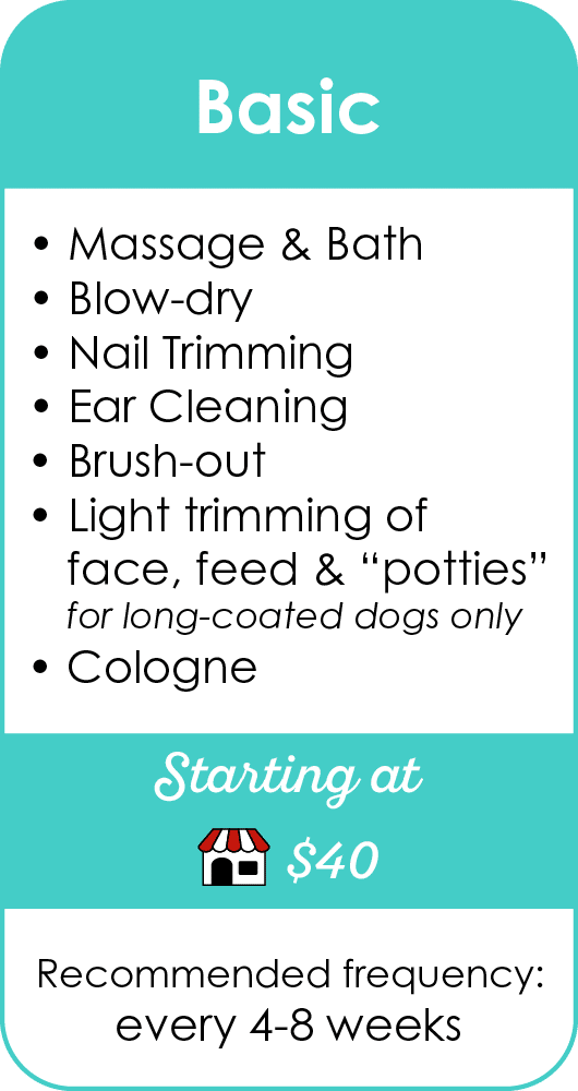 Smoochie Pooch basic dog grooming package with bath, blow-dry, nail trimming, ear cleaning, brush-out, light trimming, cologne