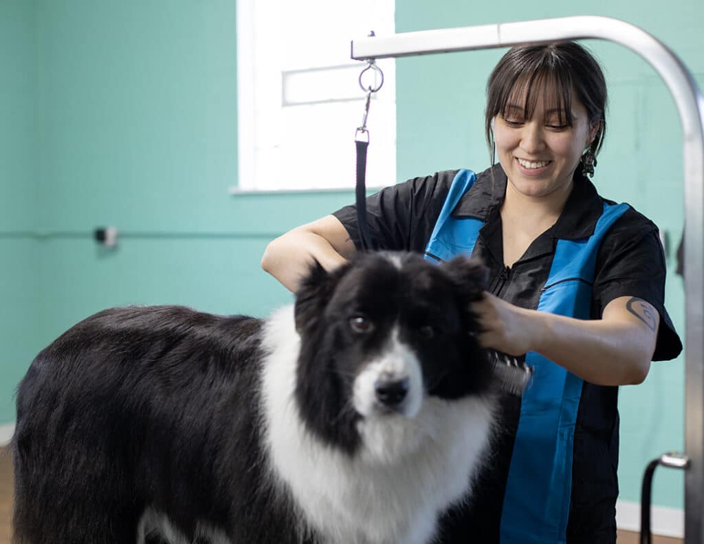 chesterton dog groomer, dog groomers near me, smoochie pooch, gilly's doghouse, gilly's dog house, chesterton indiana