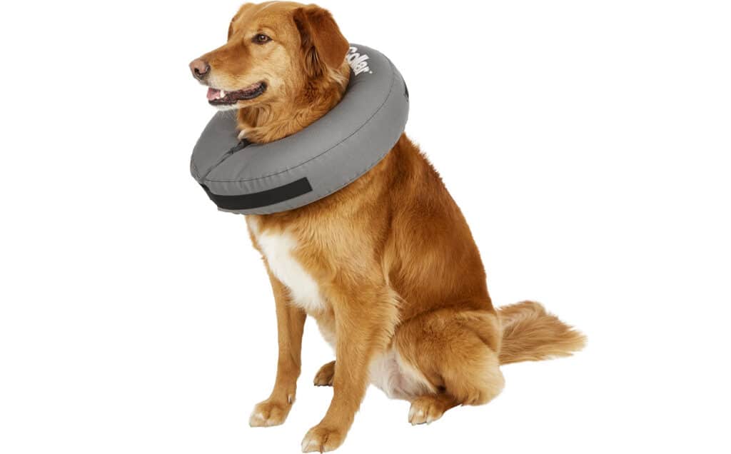 inflatable dog collar to prevent scratching and licking