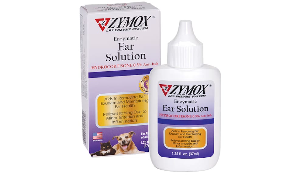 ear solution for dog ear infection