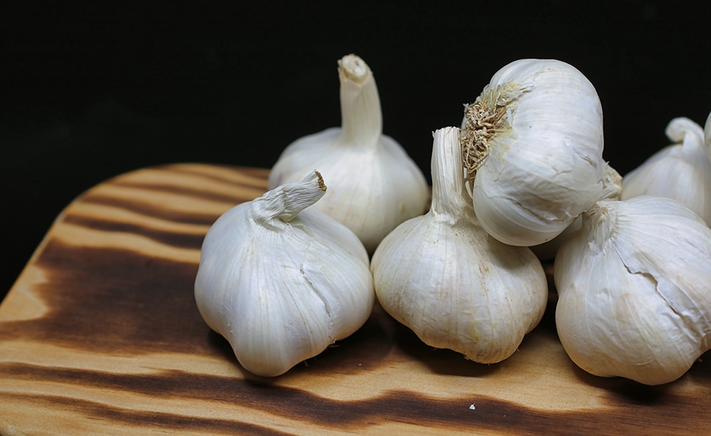 garlic prevents dog fleas, prevent fleas
