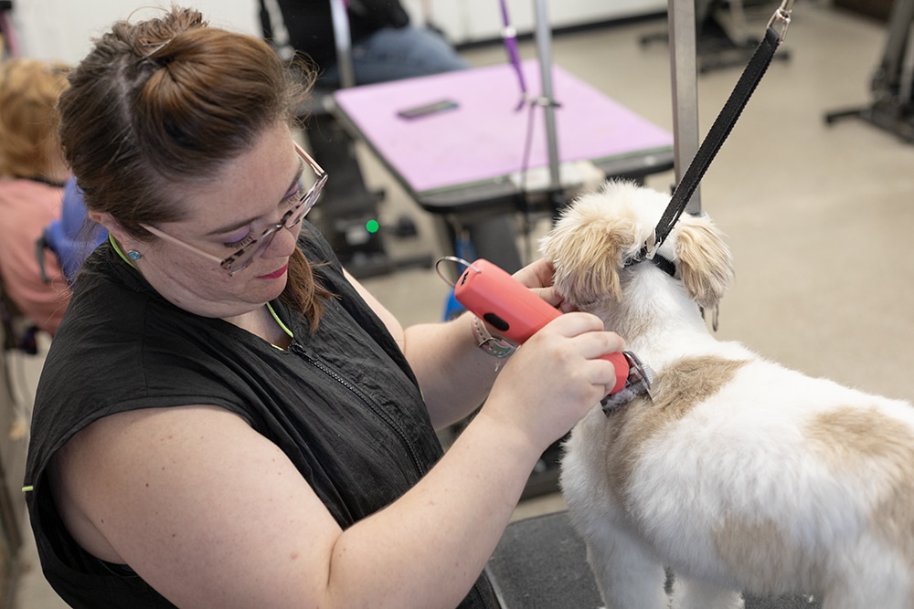 dog groomers near me, crown point dog groomers, cat grooming in crown point, Smoochie Pooch pet groomers