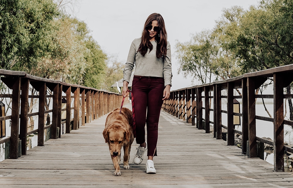 leash training, teaching a dog to walk beside you