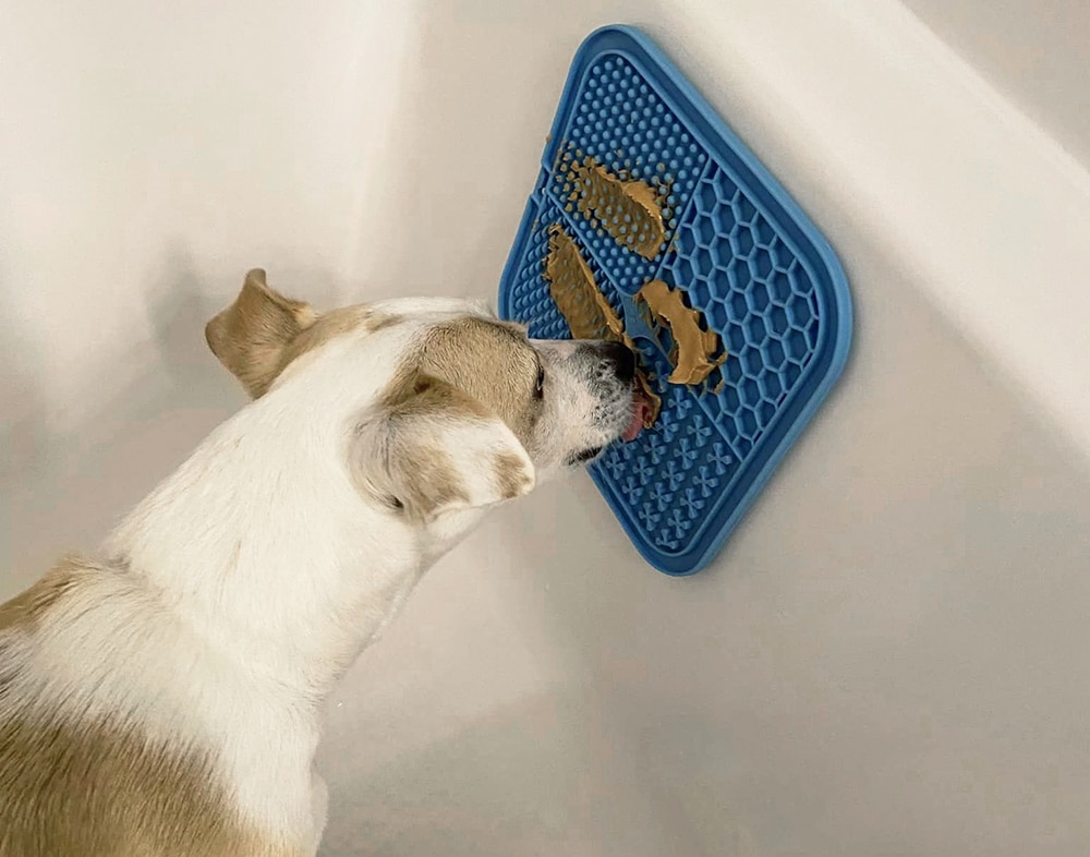 how to distract your dog in the bath, lickimat in the tub, occupying your dog in the bath