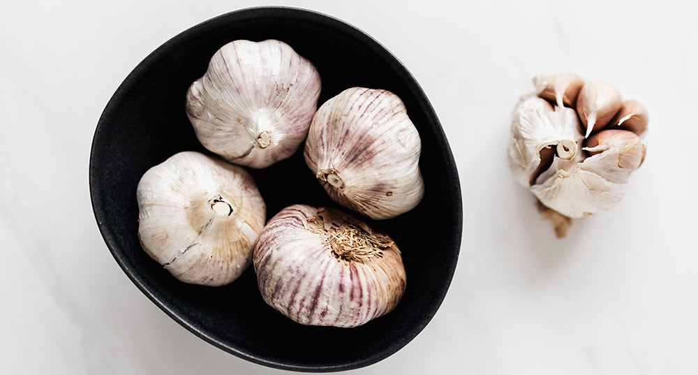 garlic bad for dogs, can dogs eat garlic, symptoms of garlic poisoning
