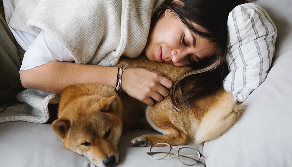 dog feels safe with owner, coddling dog, stress dogs feel