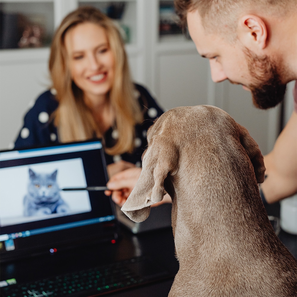 bring your pet to work week 2023, bring your dog to work, working with dogs