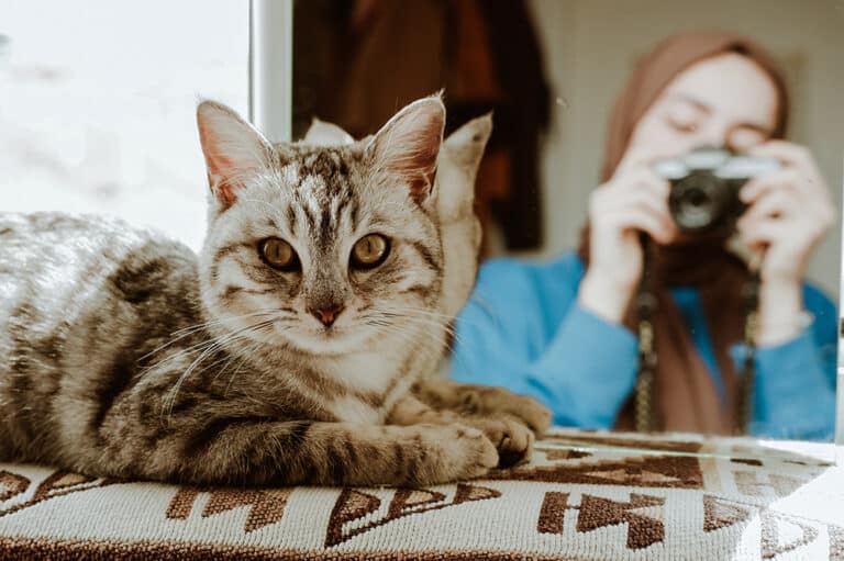 Tips for Photographing Pets