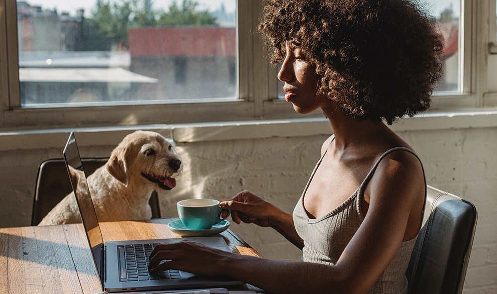 bring your dog to work week, bring your dog to work day, national bring your dog to work week, national bring your dog to work day