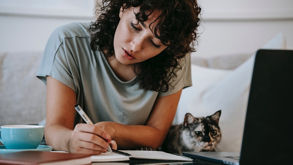 bring your cat to work week, bring your cat to work day, national bring your cat to work week, national bring your cat to work day