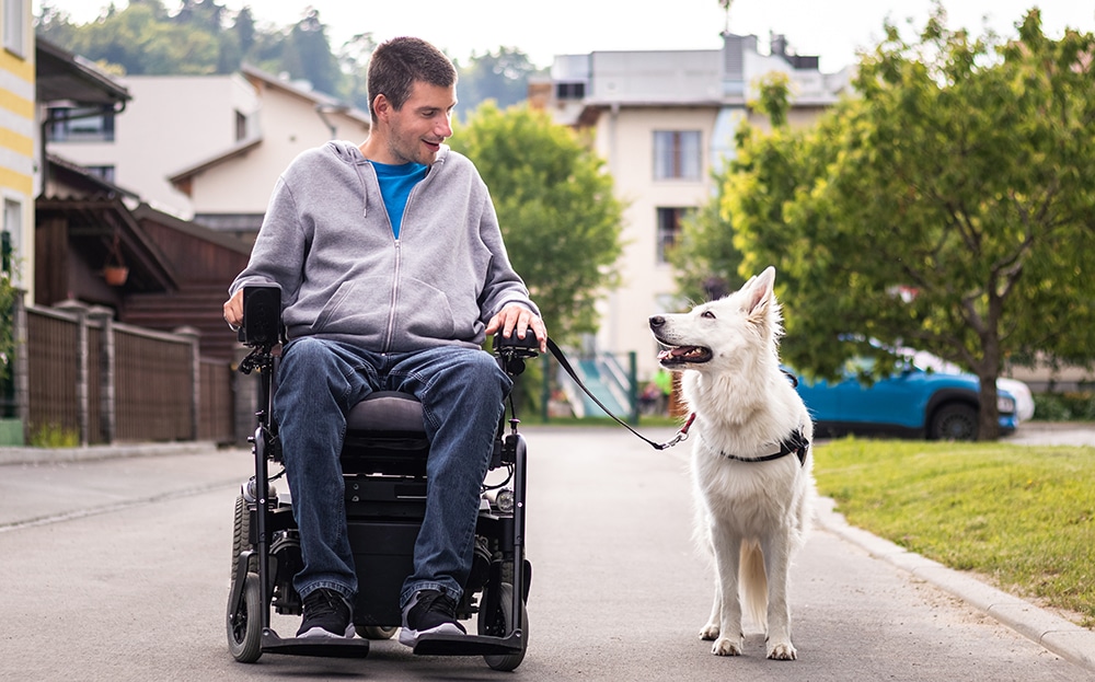 service dog mobile disability, service helps with wheelchair, assistance dog