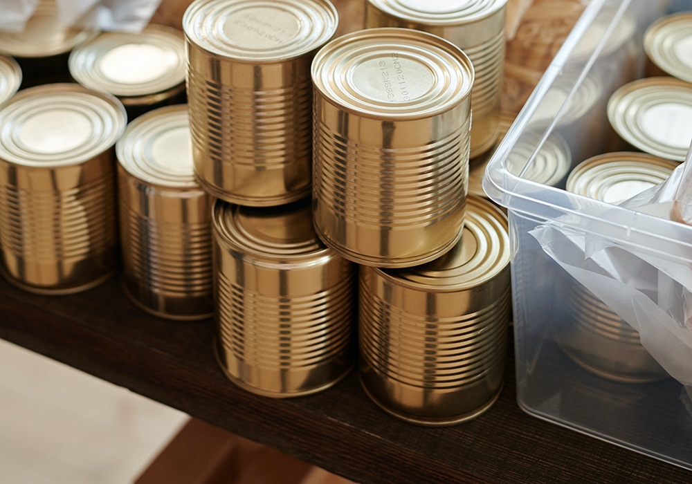 canned dog for pet emergency kit, how much food to put aside for pet during natural disasters, pet grooming near me