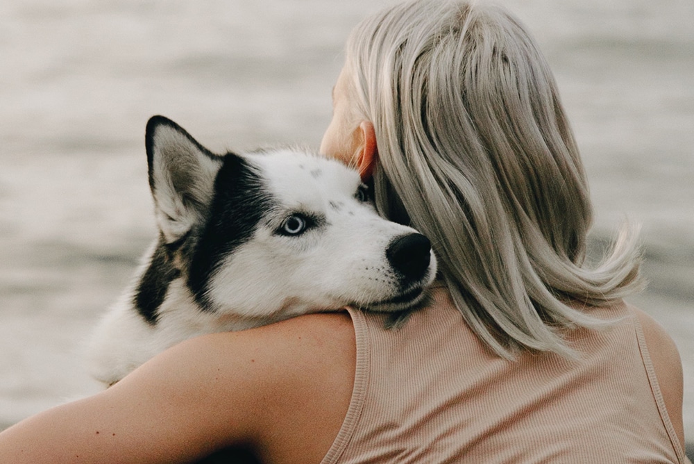 comforting a dog with anxiety, ways to help stressed dog