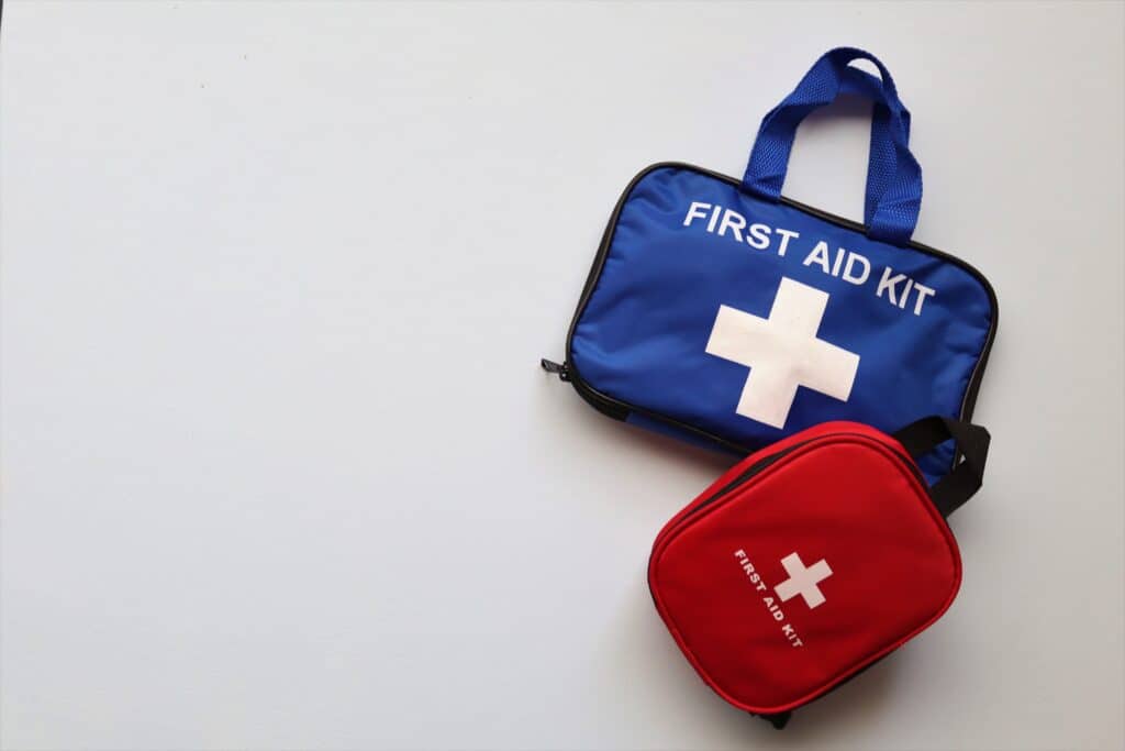 pet first aid, nail trims for dogs, how to protect cat and dog during emergency situation