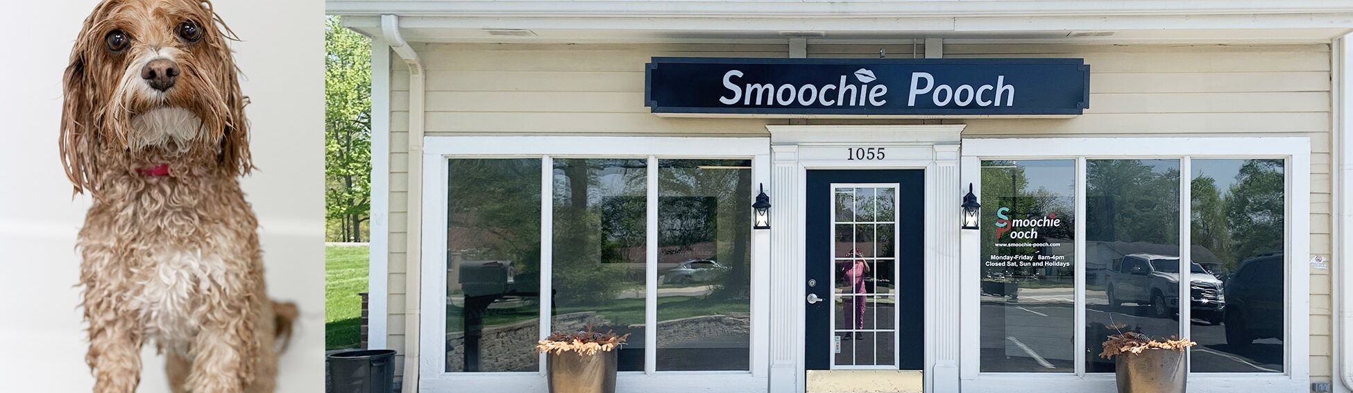 Smoochie Pooch pet grooming carmel in, dog groomers near me