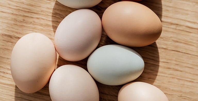 chicken eggs a common food allergy in dogs, dog nail trimming near me