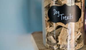 homemade treats and meals for pet
