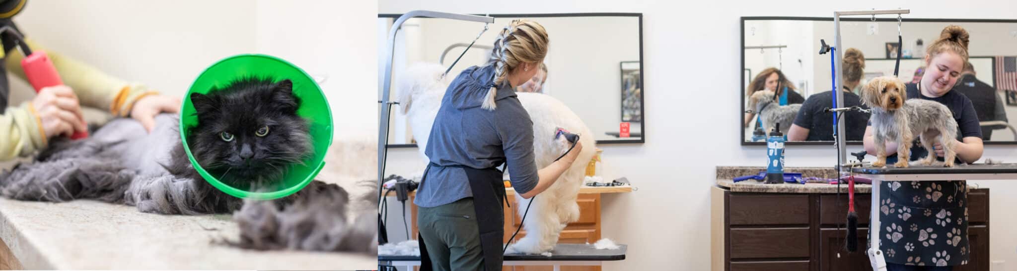 Portage Dog Grooming Portage Pet Stores SmoochiePooch