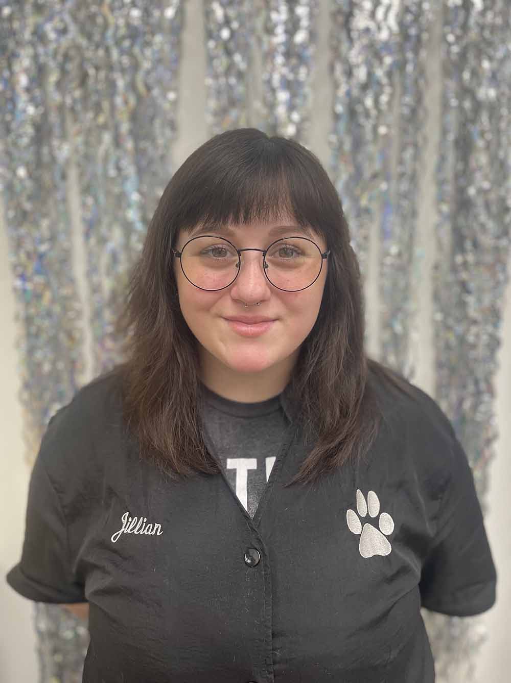 Best Dog Grooming Schererville IN Schererville Dog Grooming