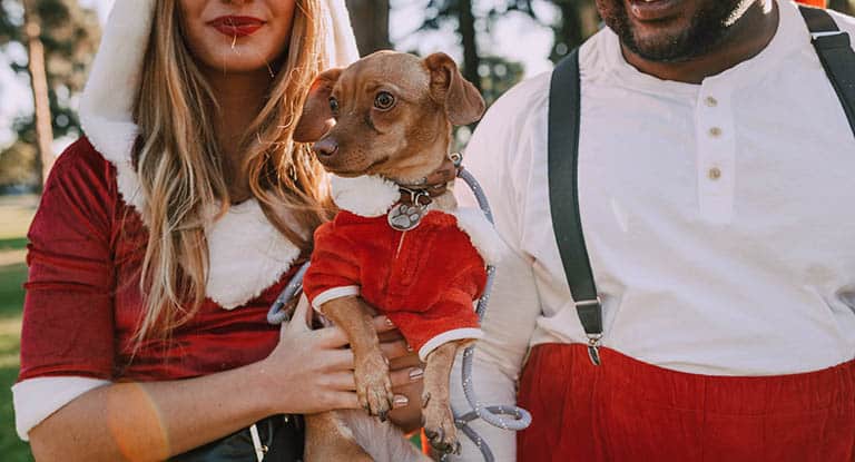 11 best gifts for pet owners in 2023
