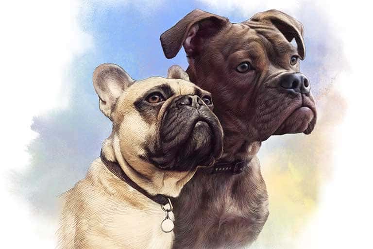 pet portraits painted, dog grooming near me