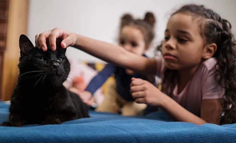 kids properly petting a pet, mobile pet grooming near me