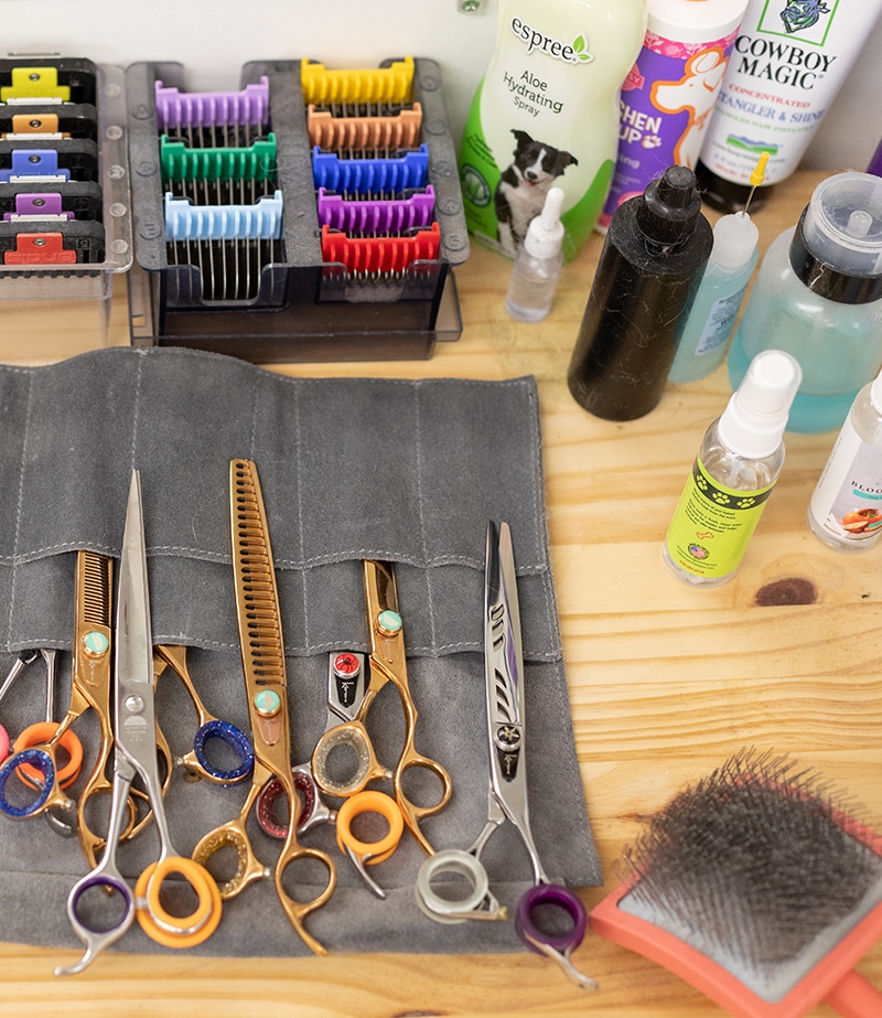 Dog Grooming Courses Smoochie Pooch Apprentice Program