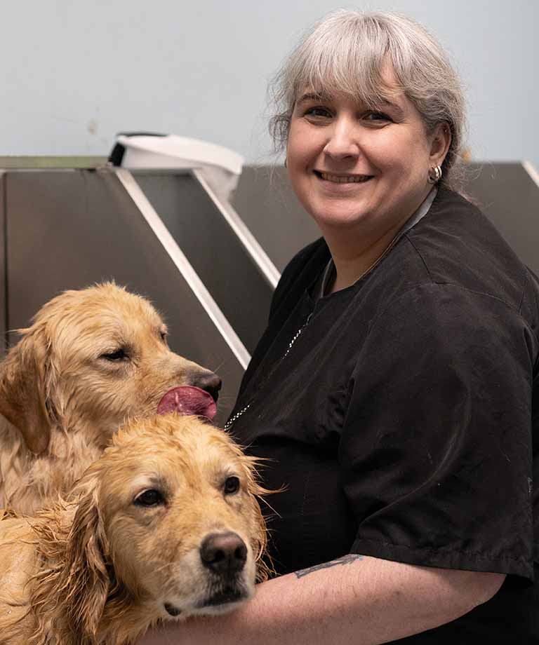 Dog Grooming in Florence, KY