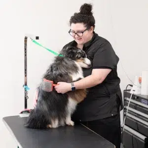 groomer holding dog, dog bathers near me, local dog groomers