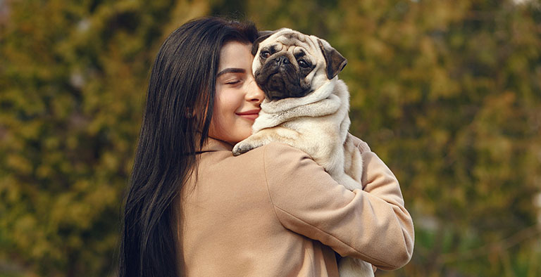 human and dog bonding, animal grooming near me, grooming near me dog, cat bath near me