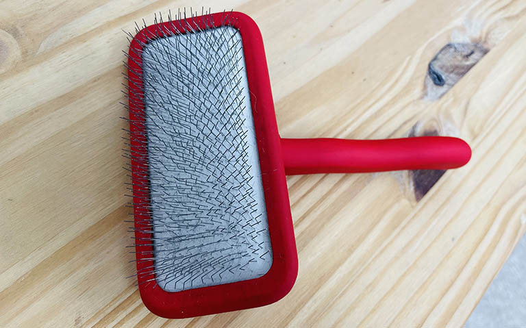 slicker brush, mobile grooming near me