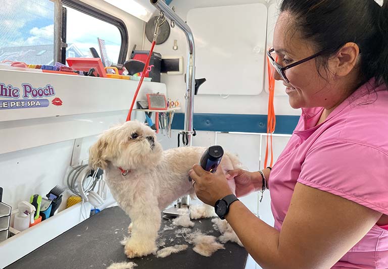 mobile groomer with dog, dog nail trimming near me, dog nail clipping near me