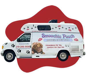 mobile grooming near me, mobile dog grooming van