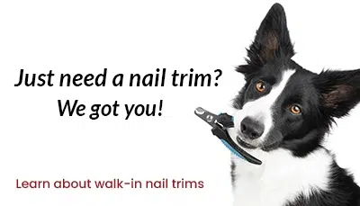walk-in nail trims, dog nail trims without an appointment near me