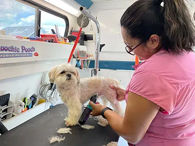 mobile dog grooming in aberdeen indiana